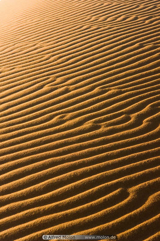 29 Ripple patterns in sand