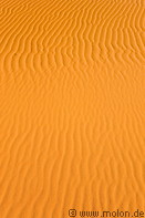 14 Ripple patterns in sand