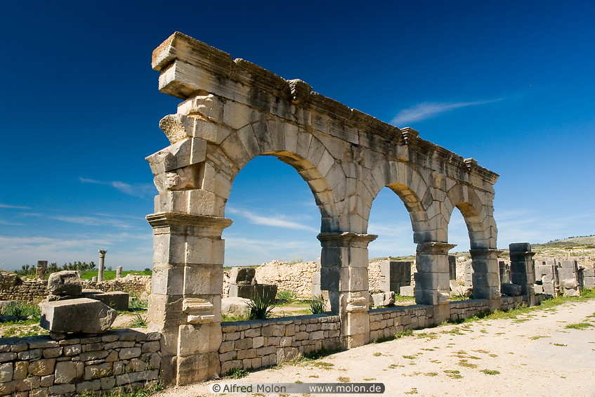 21 House of columns in Decumanus Maximus