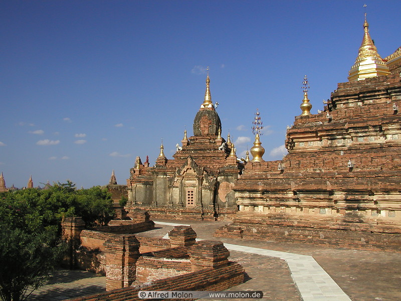 31 Dhammayazika pagoda