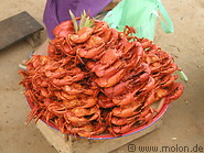 12 Fried crabs
