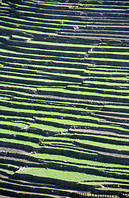 07 Rice terraces near Bahundanda