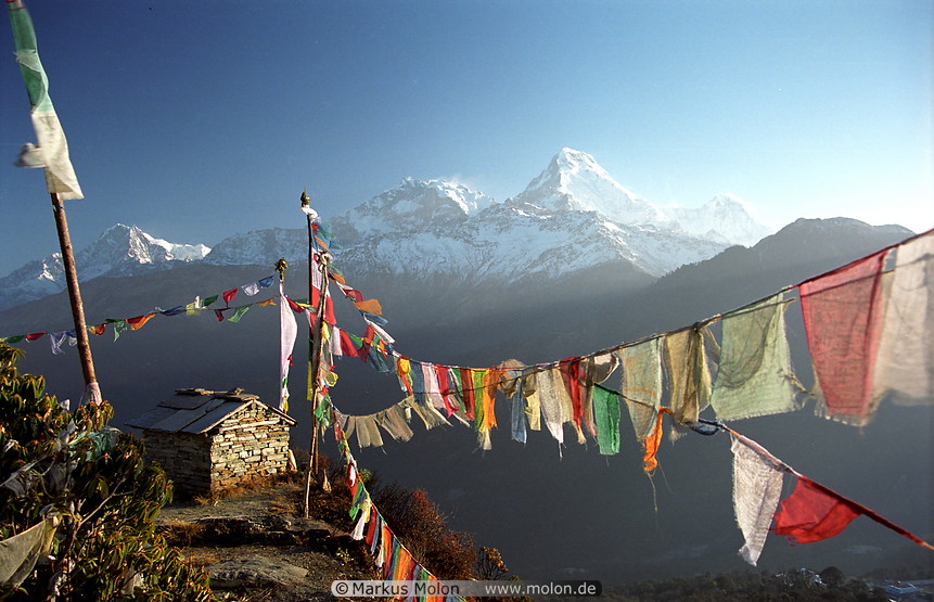 14 Prayer flags in front of the Annapurnas
