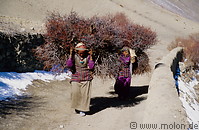 16 Women carrying firewood