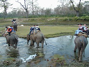 17 Elephant Safari