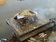 44 Cremation on the Bagmati river