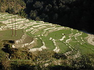 14 Rice terraces along the road Kathmandu-Nagarkot