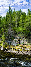 16 Forest stream