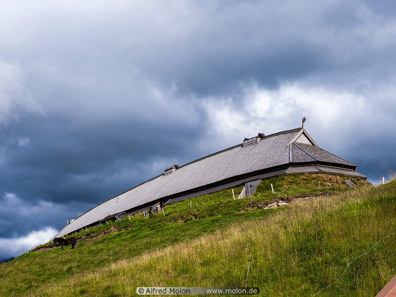 09 Lofoten Viking museum in Borg