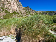 21 Beach grass on Andoya