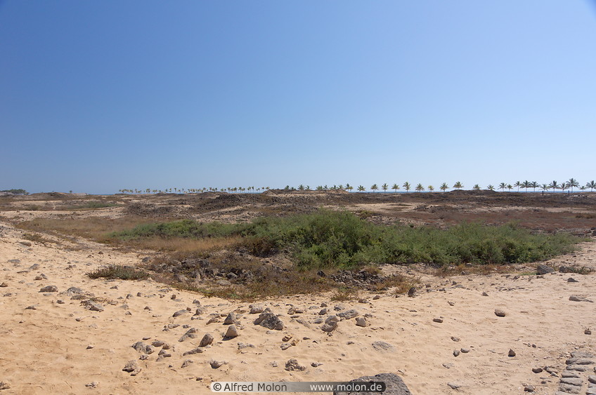 03 Al Balid archaeological site