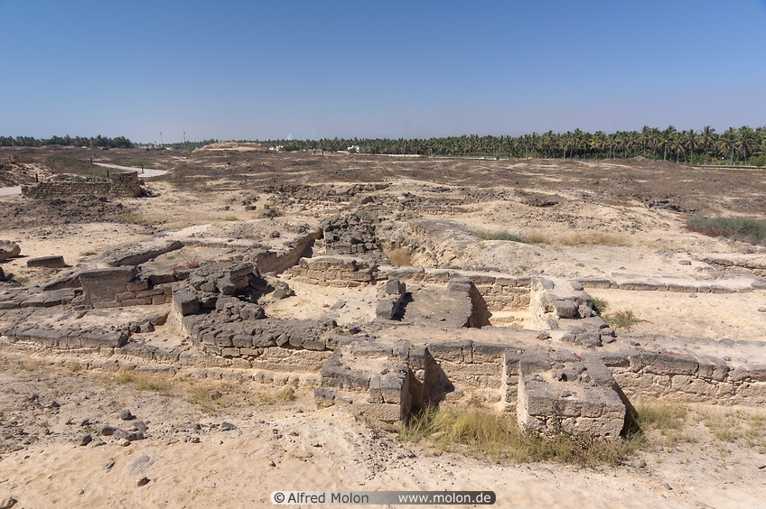 08 Al Balid ruins