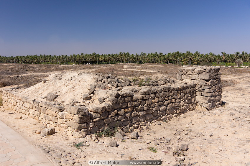 12 Al Balid ruins