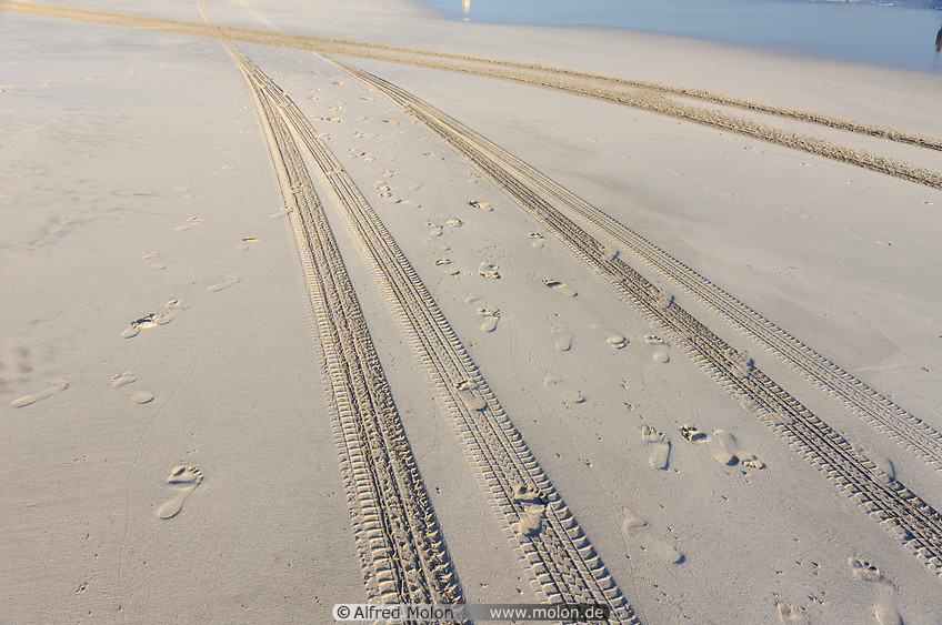 25 Tracks in the sand