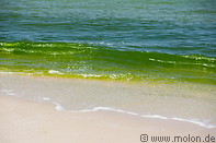 04 Green seawater at Ras Al Hadd beach