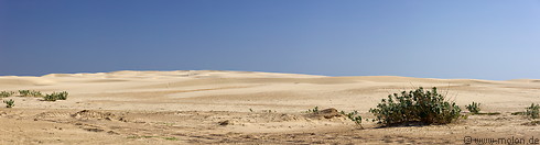 31 Beach sand dunes