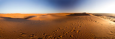 16 Wahiba desert
