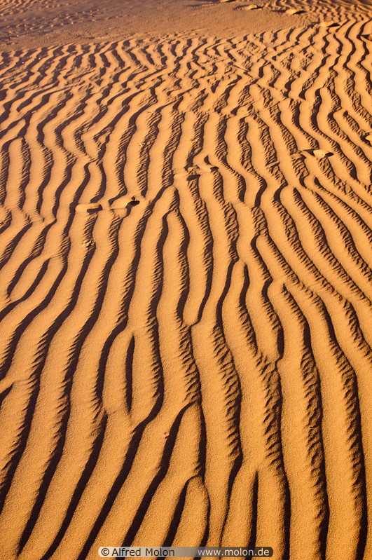 01 Sand ripple patterns