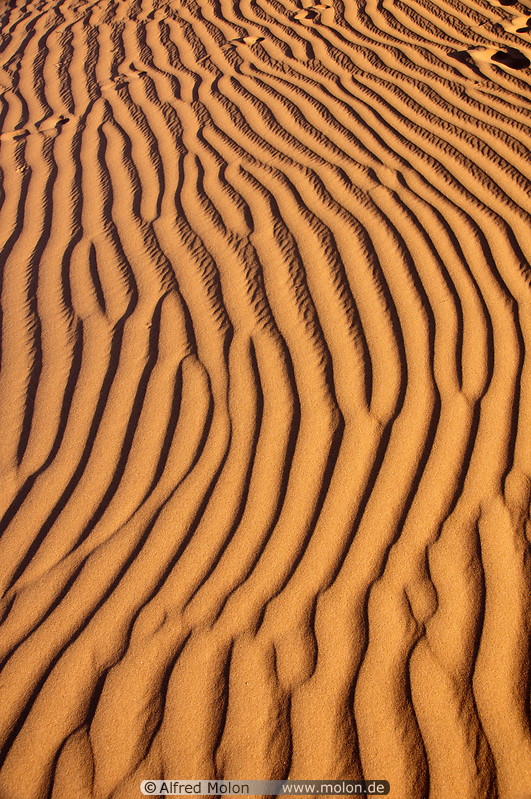 04 Sand ripple patterns