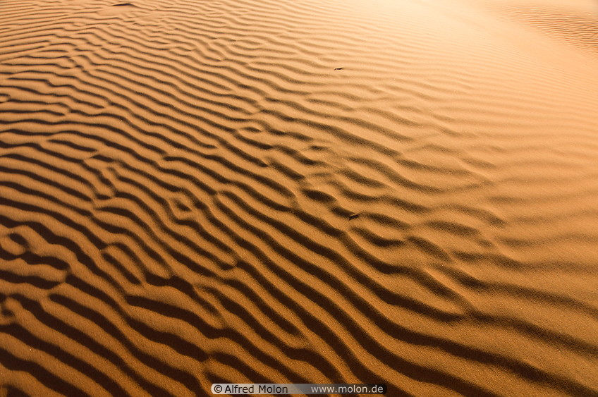 06 Sand ripple patterns