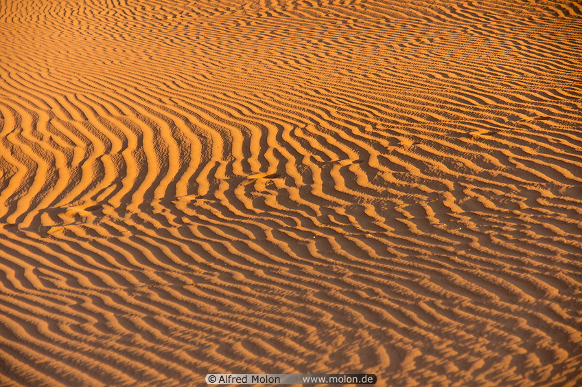 08 Sand ripple patterns