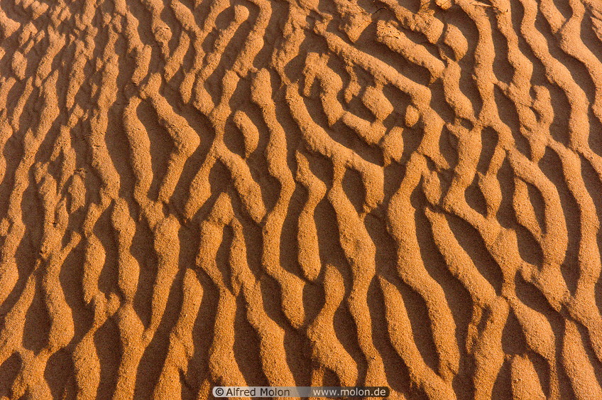 12 Sand ripple patterns