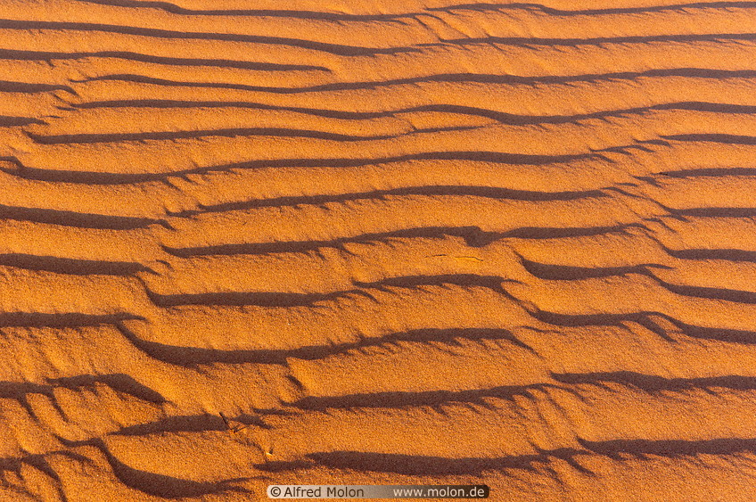 16 Sand ripple patterns