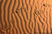18 Shoe prints in the sand
