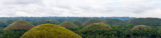Bohol photo gallery  - 30 pictures of Bohol