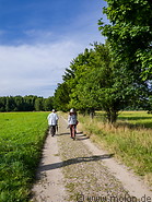 43 Tourists walking towards Bialowieza forest