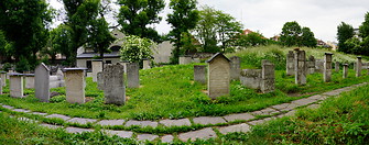 12 Jewish cemetery