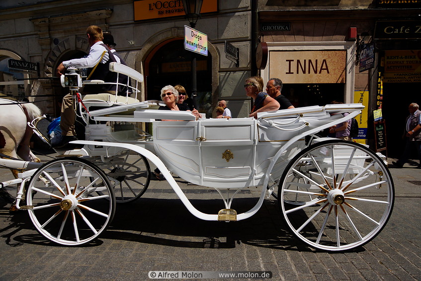 05 White horse carriage
