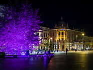 13 Litewski square at night