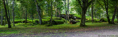 29 Bunker ruins in the forest