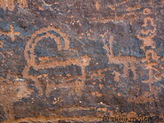 34 Moufflon petroglyphs