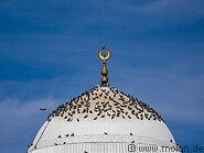 34 Qiblatain mosque dome