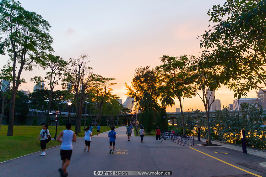 33 Joggers at sunset
