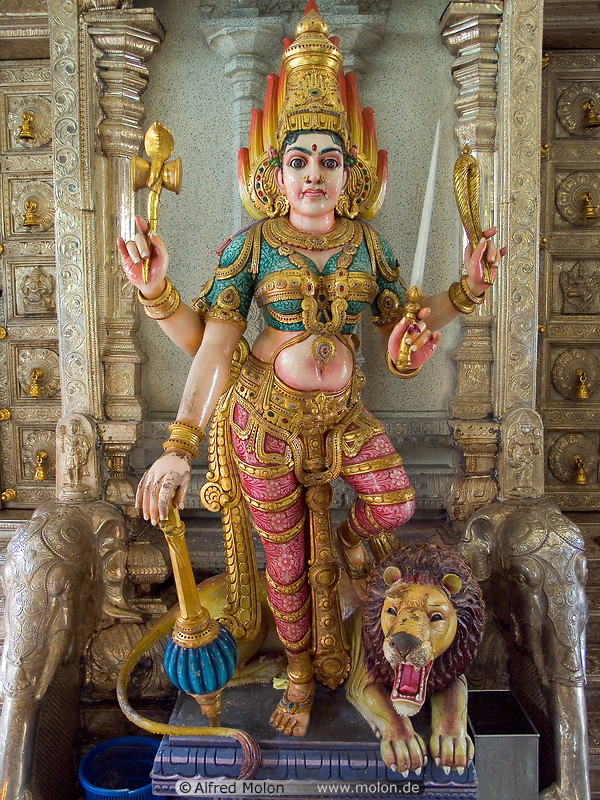 07 Statue of Kali goddess