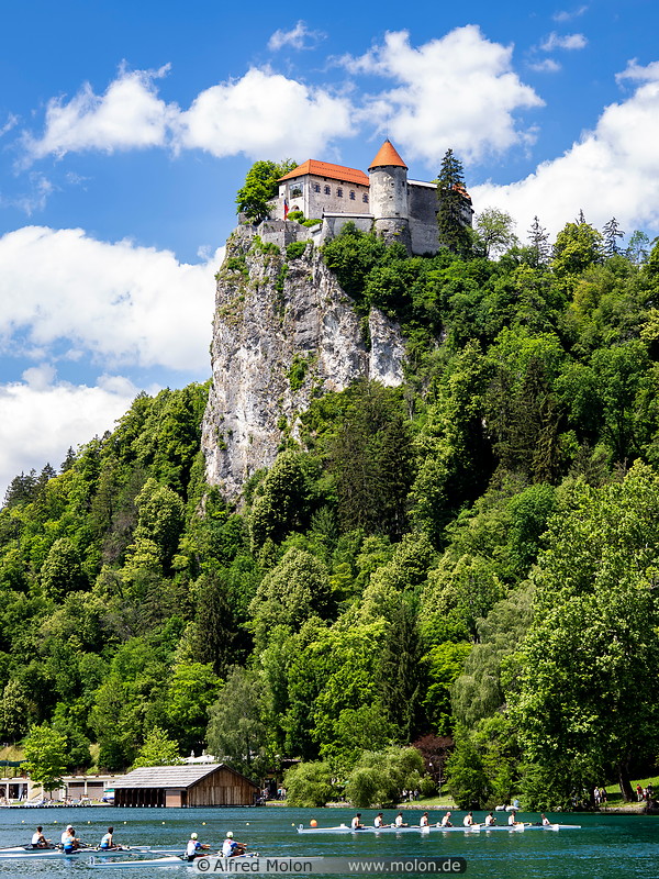 12 Bled castle