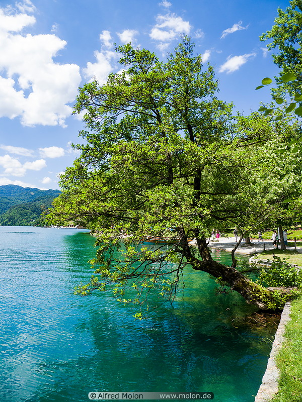 15 Lake Bled