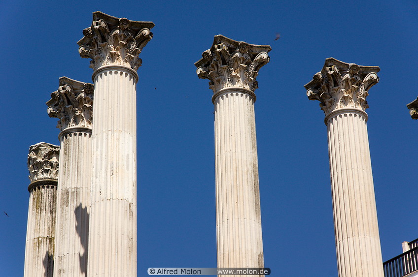 07 Roman temple columns