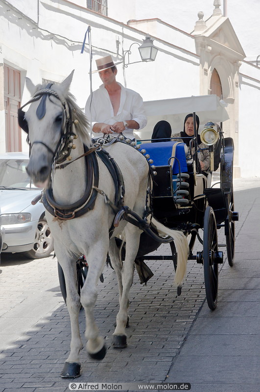 17 Horse carriage with tourists