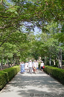 04 Tourists on tree-lined pathway