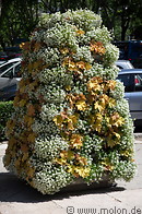 07 Floral decorations