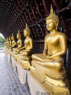 03 Golden Buddha statues