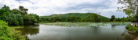 19 Pinnaketiya lake