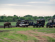 43 Safari jeeps