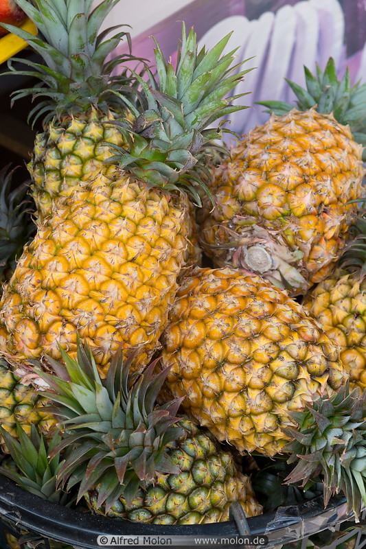 19 Pineapples
