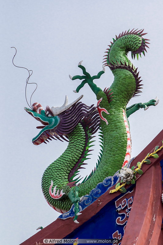 14 Dragon statue on roof