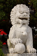 11 Lion statue in martyrs shrine